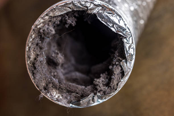 Best Air Duct Cleaning Company Near Me  in Athena, OR